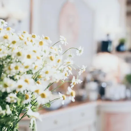 Reindl & Appartments