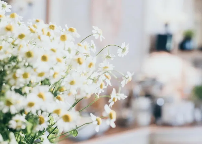 Reindl Suiten&appartments